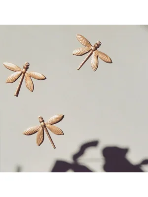 Trio de libellules